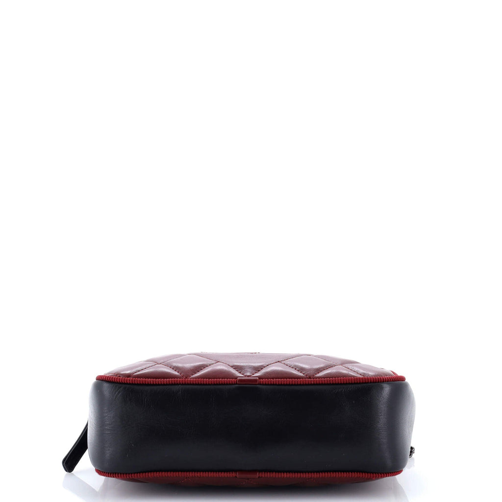 Ballerine Camera Case Bag Quilted Calfskin Small