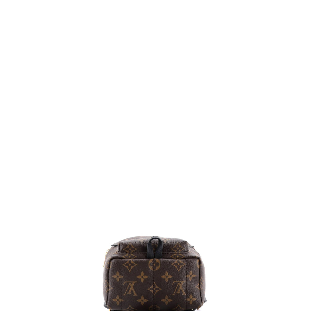 Palm Springs Backpack Monogram Canvas Mini