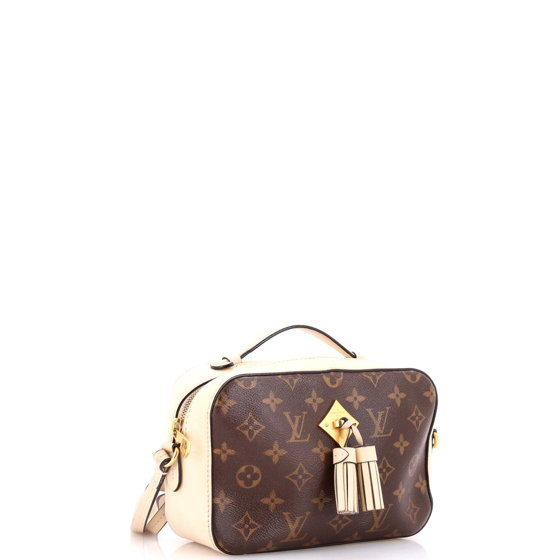 Saintonge Handbag Monogram Canvas with Leather