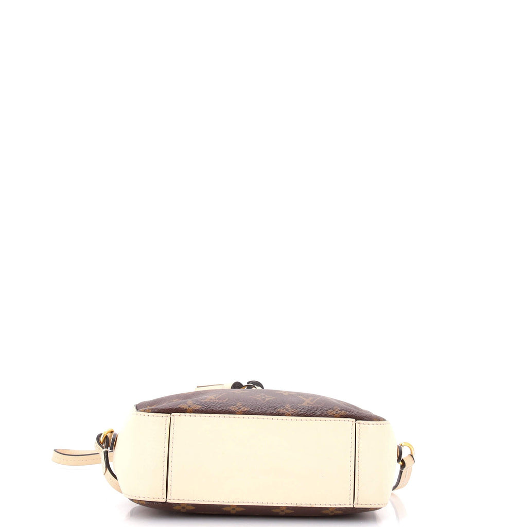 Saintonge Handbag Monogram Canvas with Leather