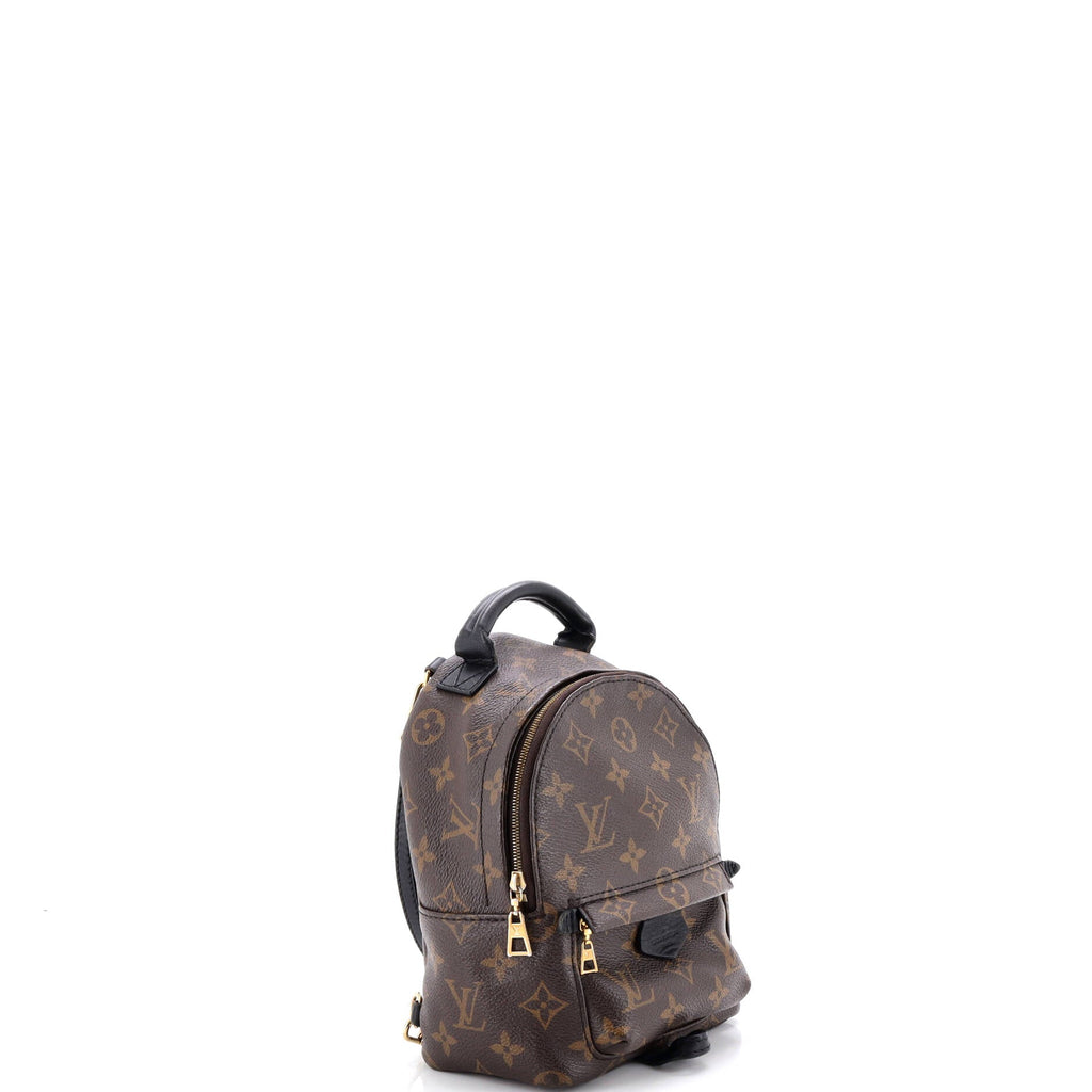 Palm Springs Backpack Monogram Canvas Mini
