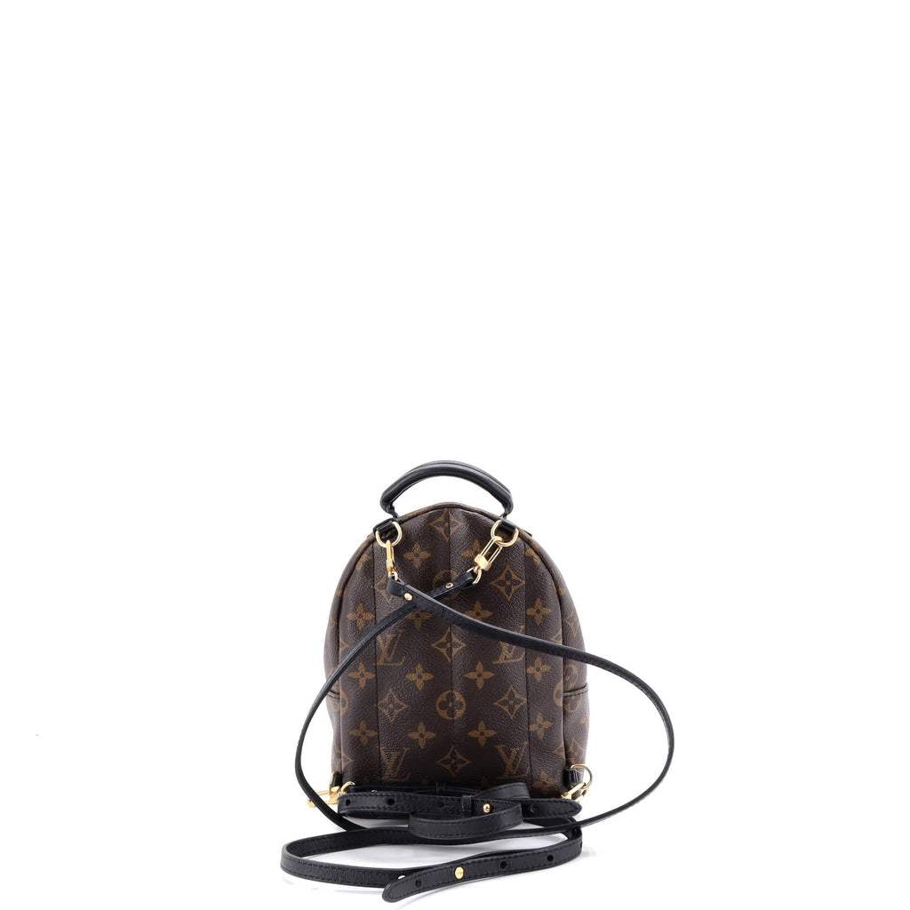 Palm Springs Backpack Monogram Canvas Mini