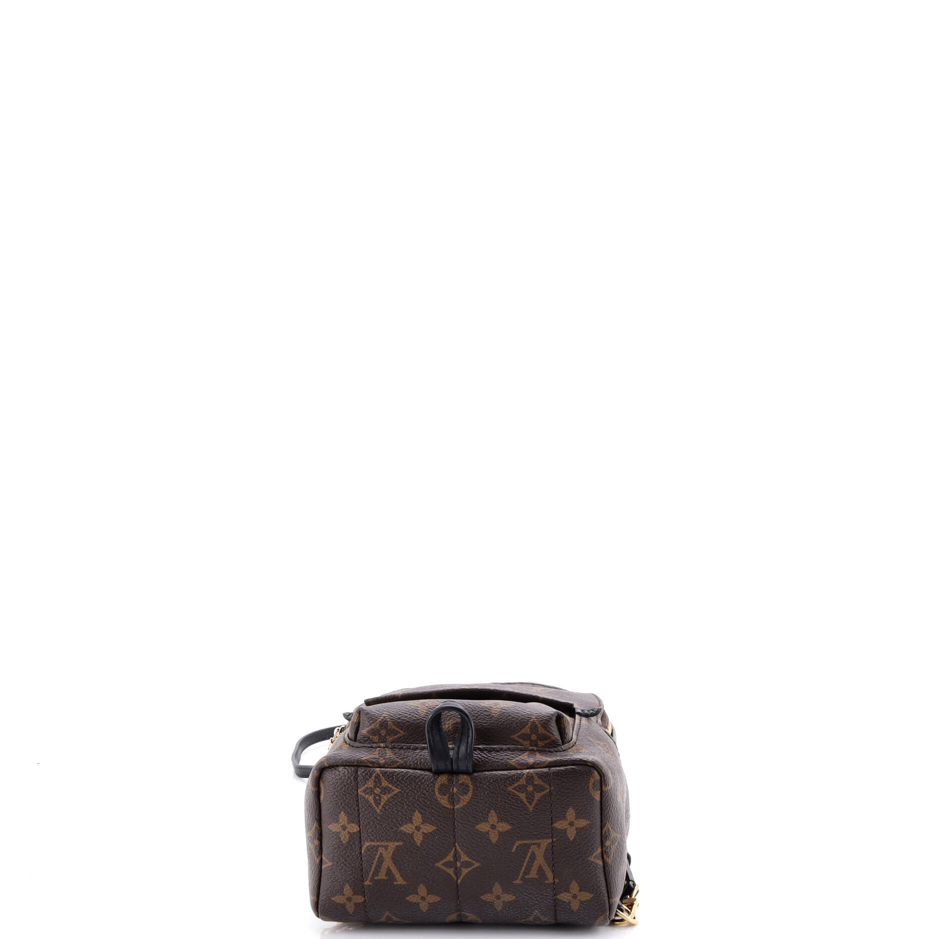 Palm Springs Backpack Monogram Canvas Mini