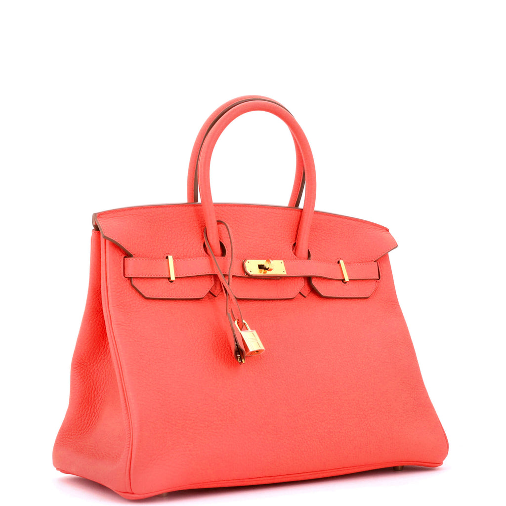 Birkin Handbag Rose Jaipur Clemence with Gold Hardware 35