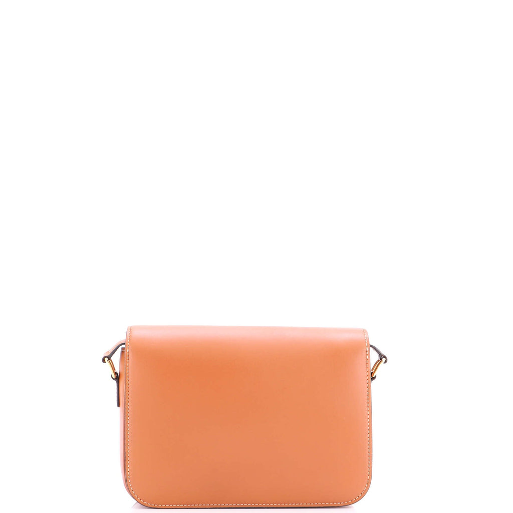 Triomphe Shoulder Bag Smooth Calfskin Medium