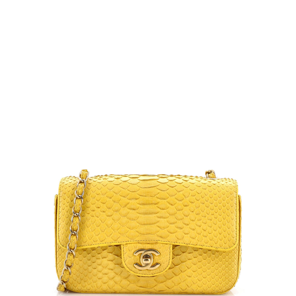Classic Single Flap Bag Python Mini