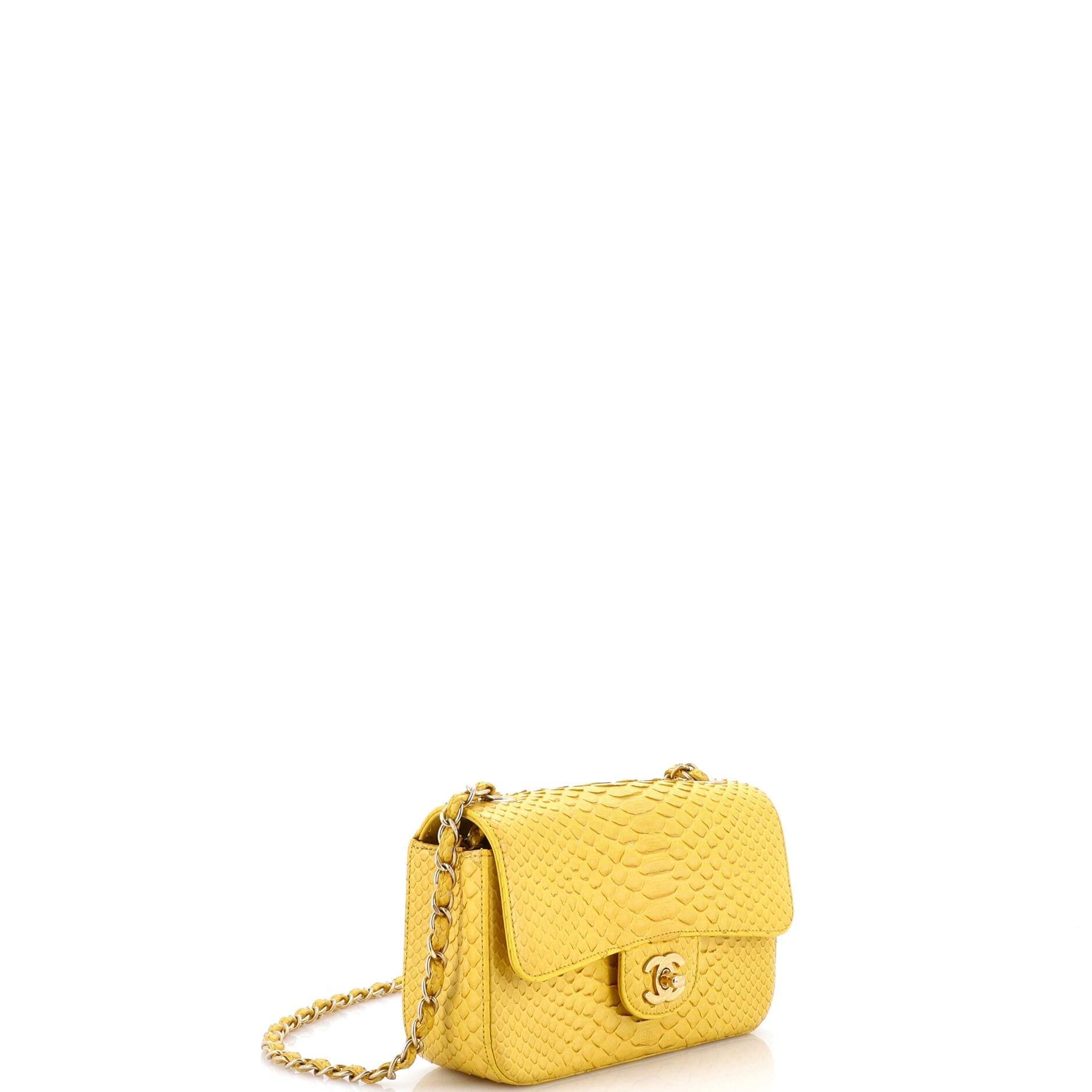 Classic Single Flap Bag Python Mini