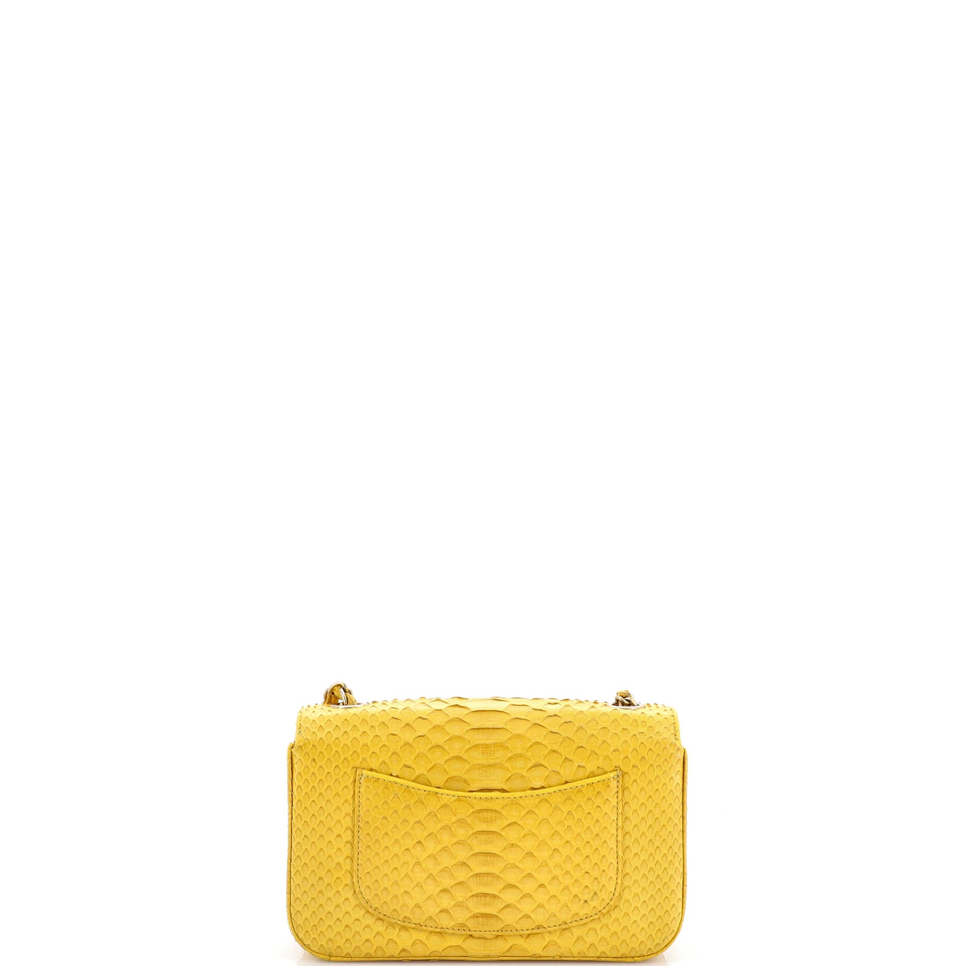 Classic Single Flap Bag Python Mini