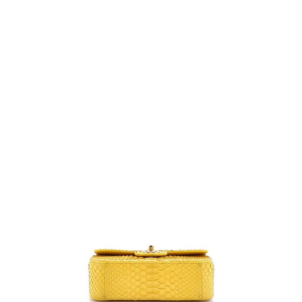 Classic Single Flap Bag Python Mini