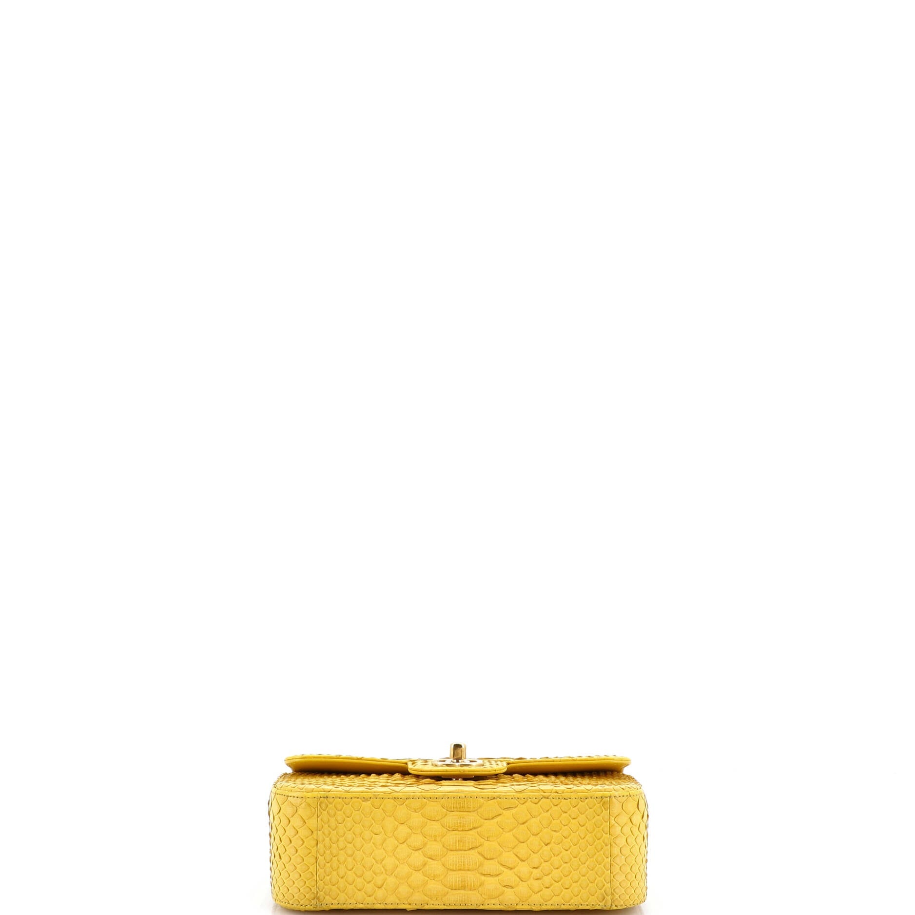Classic Single Flap Bag Python Mini