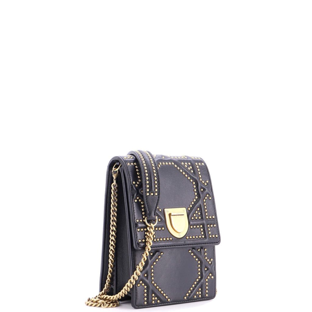Diorama Vertical Clutch on Chain Studded Leather