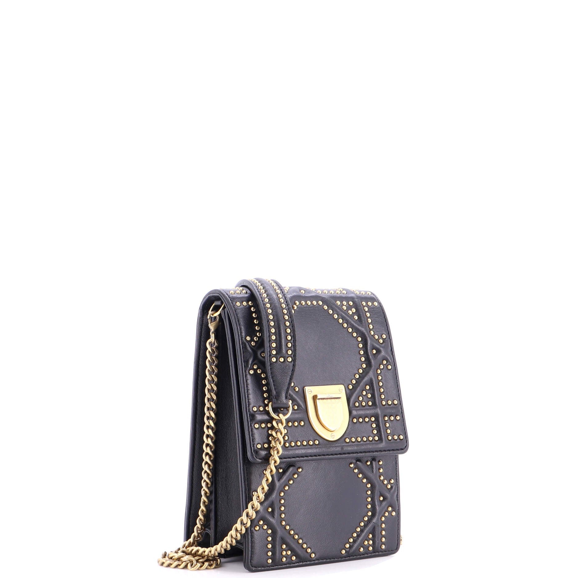 Diorama Vertical Clutch on Chain Studded Leather
