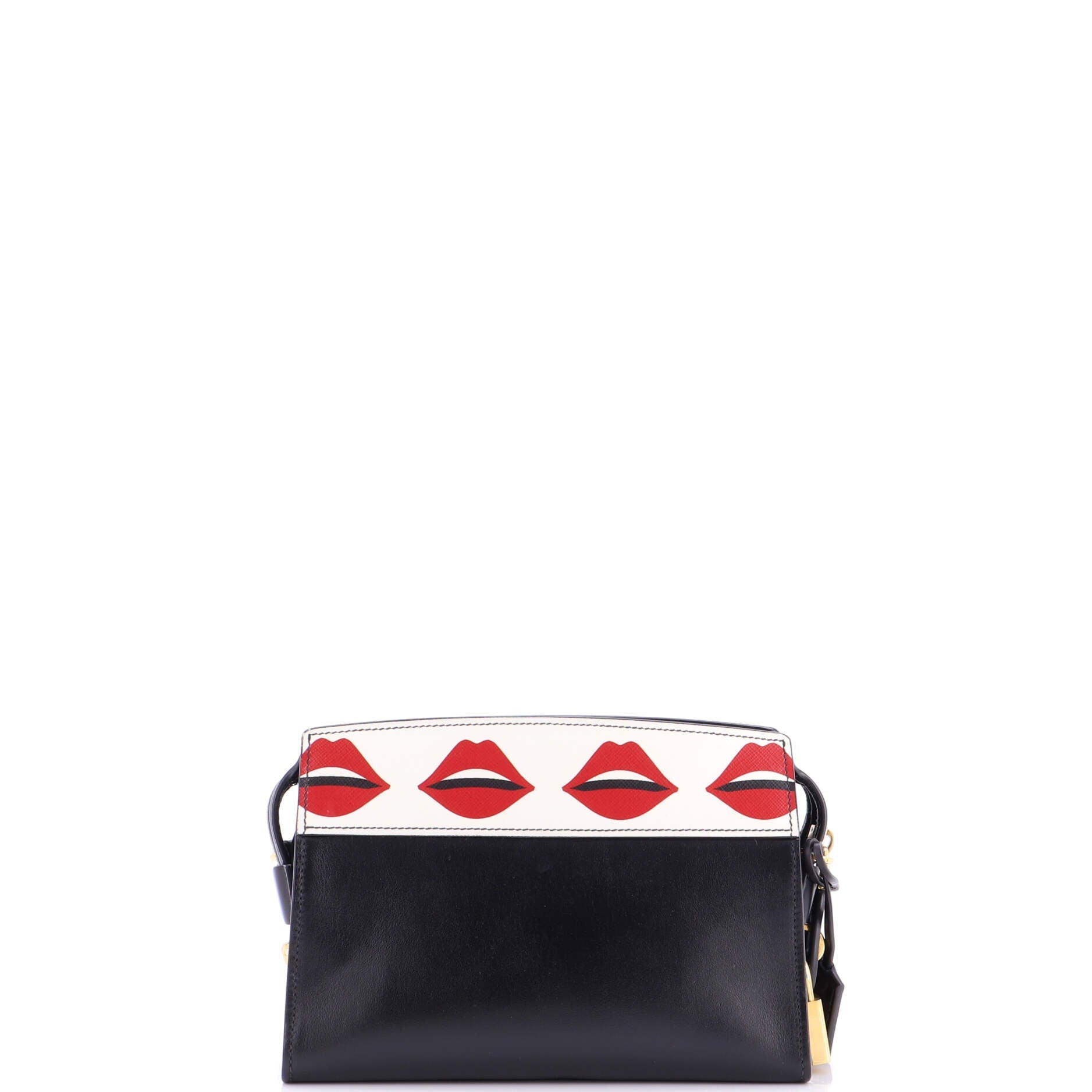 Esplanade Crossbody Bag Printed Saffiano and City Calf Small