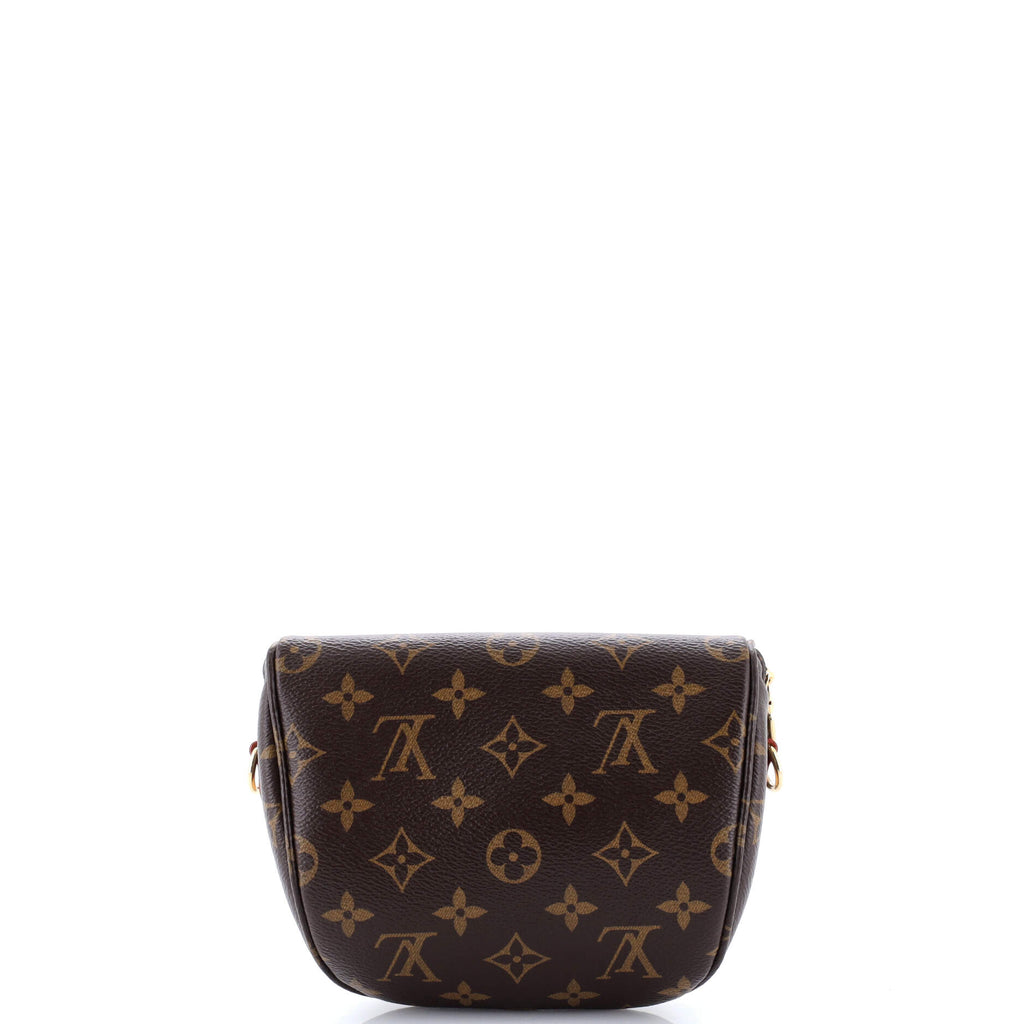 Bum Bag Monogram Canvas Mini