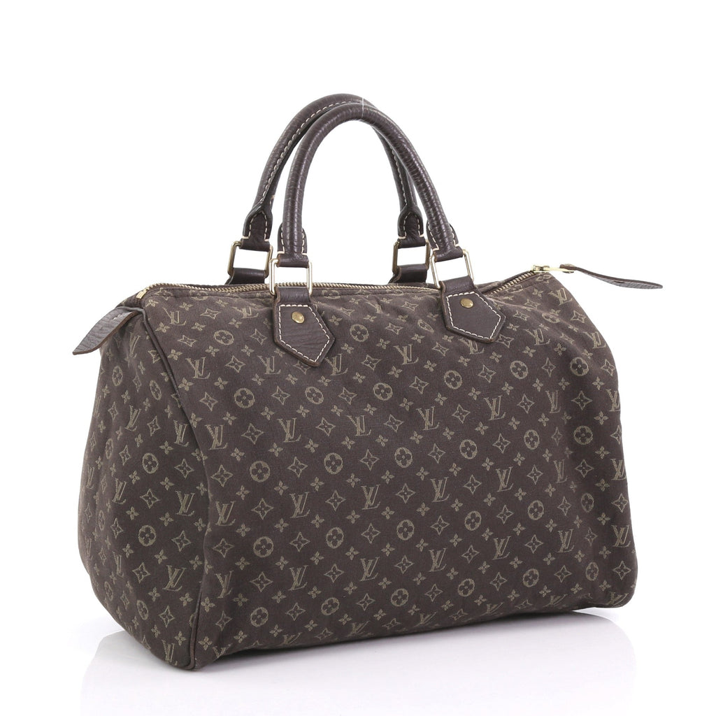 Speedy Handbag Mini Lin 30