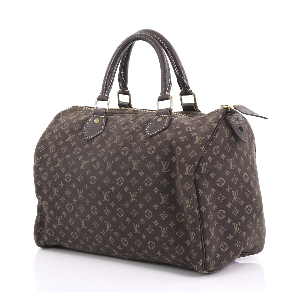Speedy Handbag Mini Lin 30