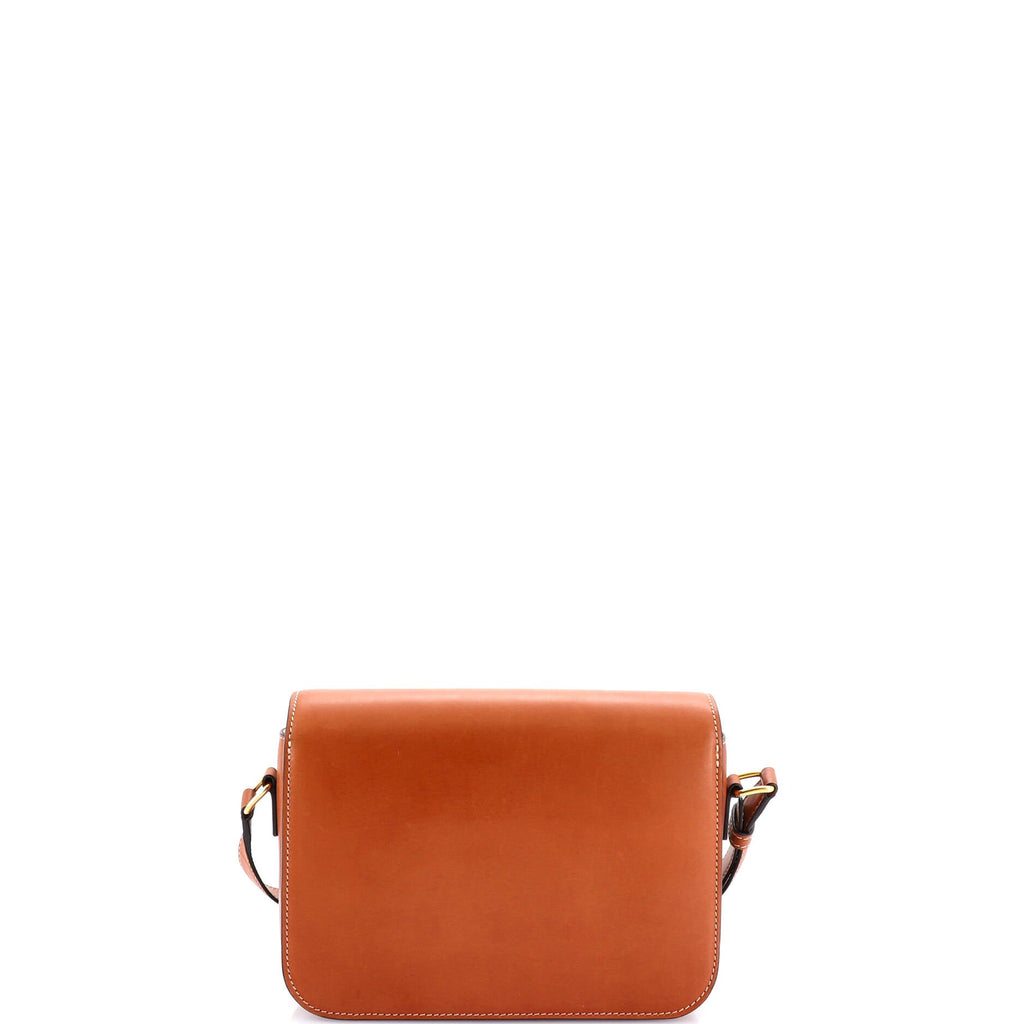 Triomphe Shoulder Bag Smooth Calfskin Medium