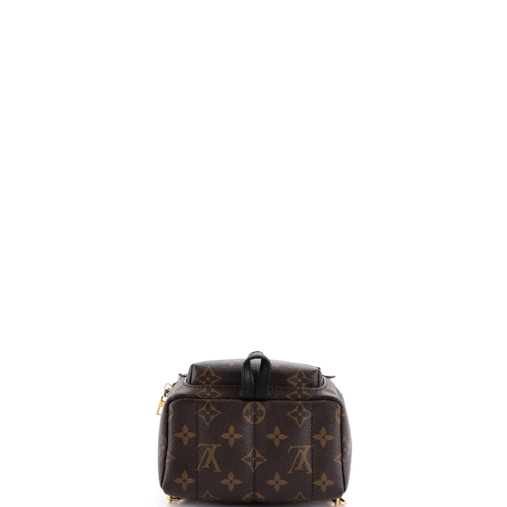 Palm Springs Backpack Monogram Canvas Mini