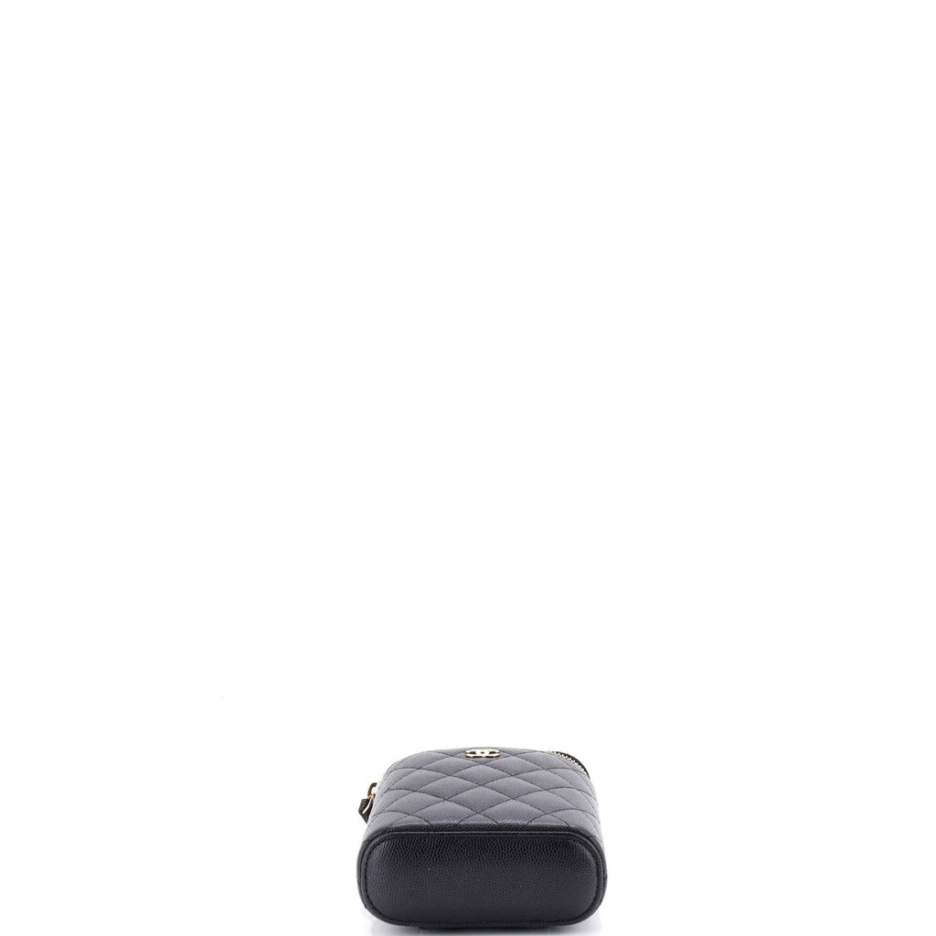 Vertical Classic Vanity Case with Chain Quilted Caviar Small