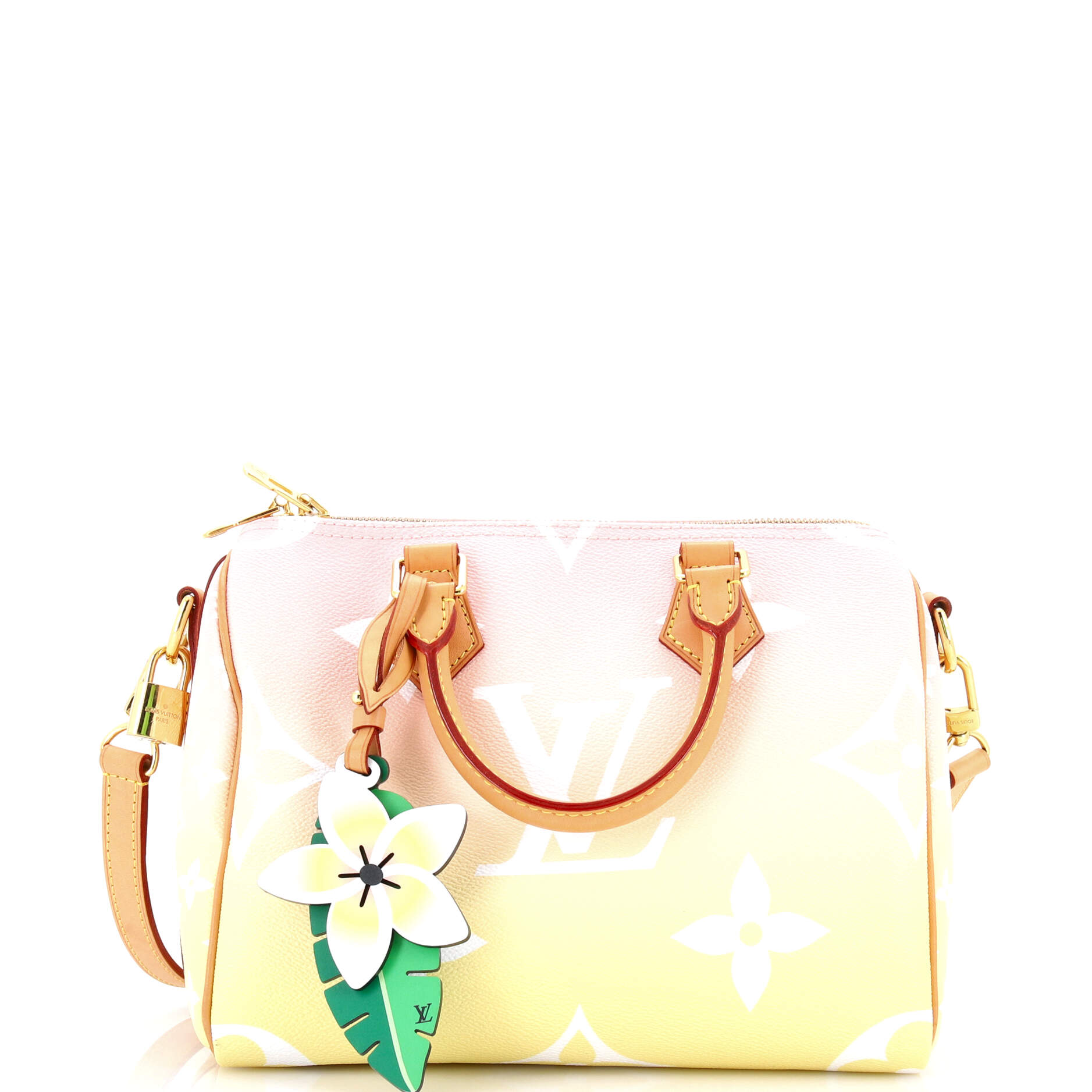 Speedy Bandouliere Bag By The Pool Monogram Giant 25