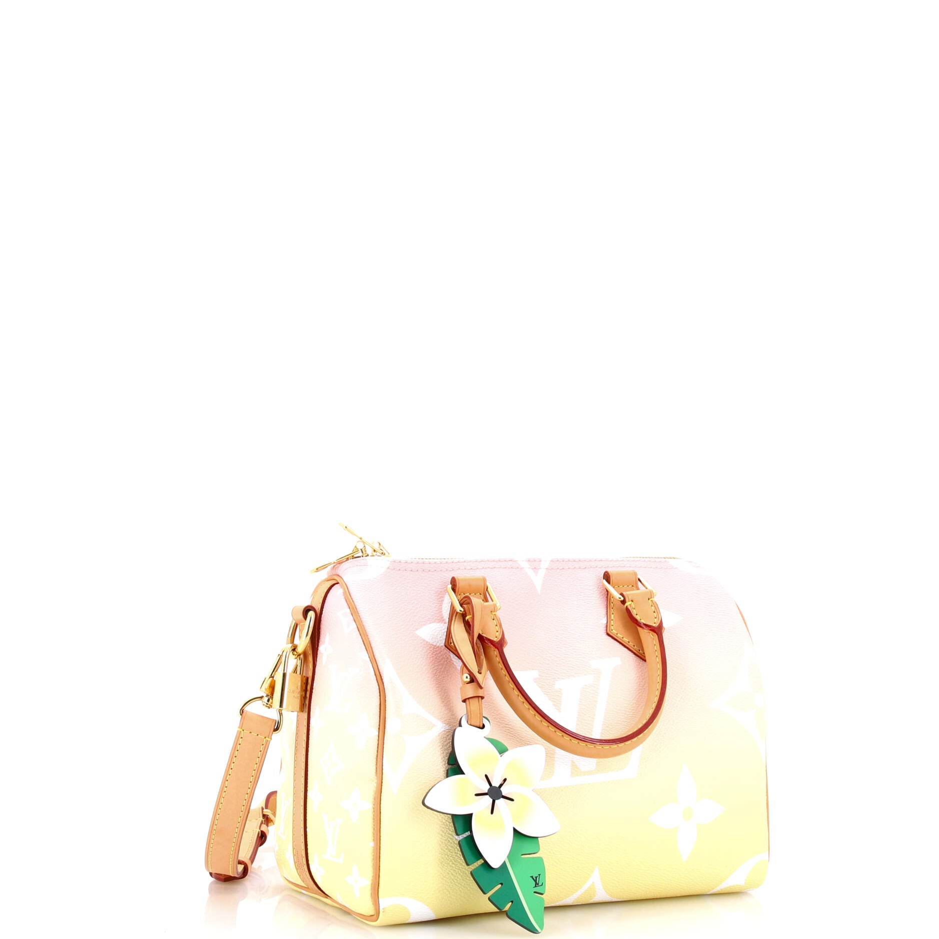 Speedy Bandouliere Bag By The Pool Monogram Giant 25
