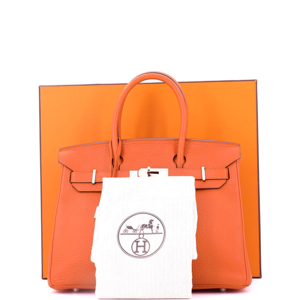 Birkin Handbag Feu Clemence with Palladium Hardware 30