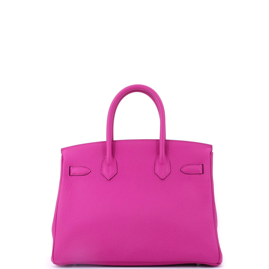 Birkin Handbag Magnolia Togo with Palladium Hardware 30