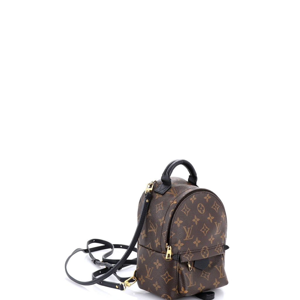 Palm Springs Backpack Monogram Canvas Mini