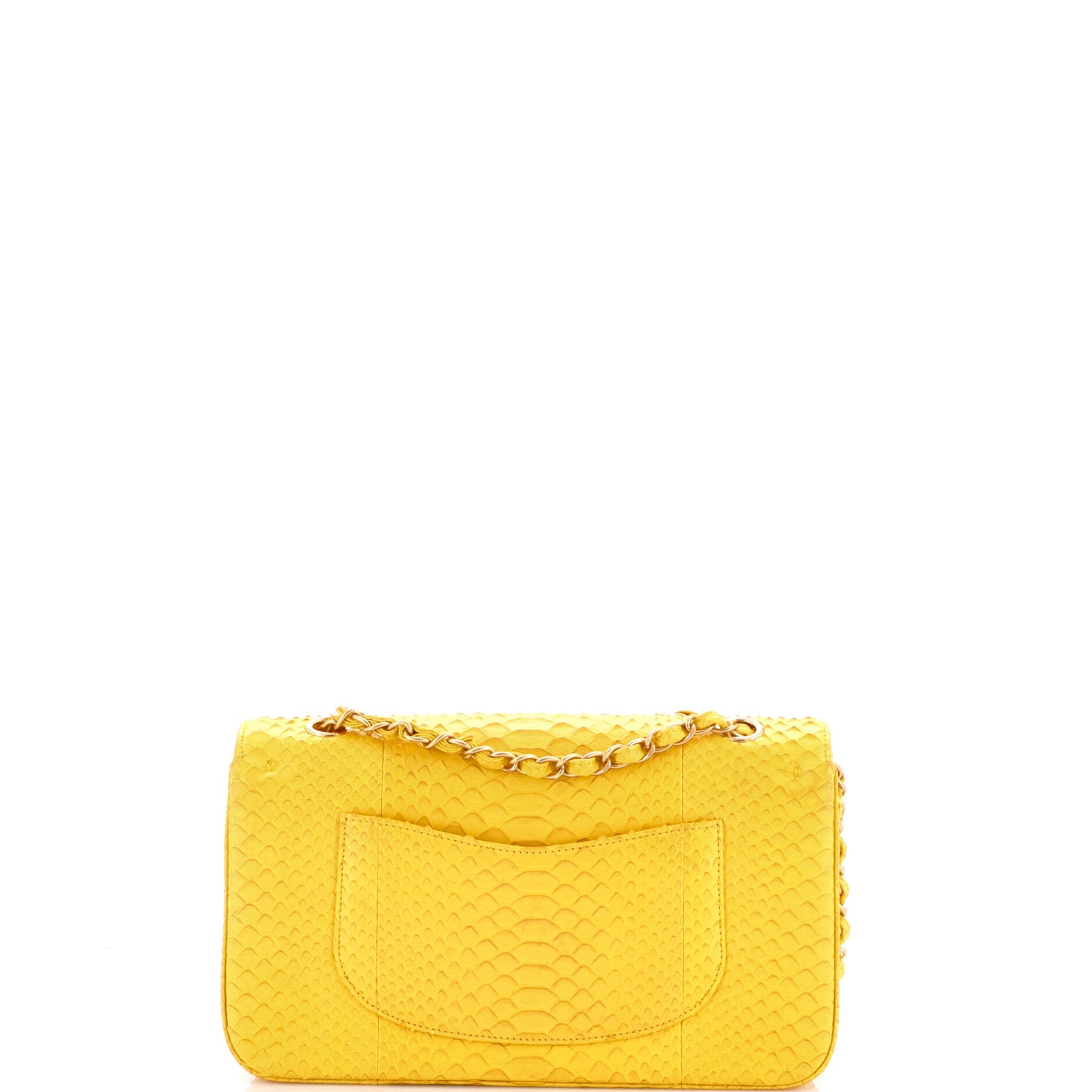 Classic Double Flap Bag Python Medium