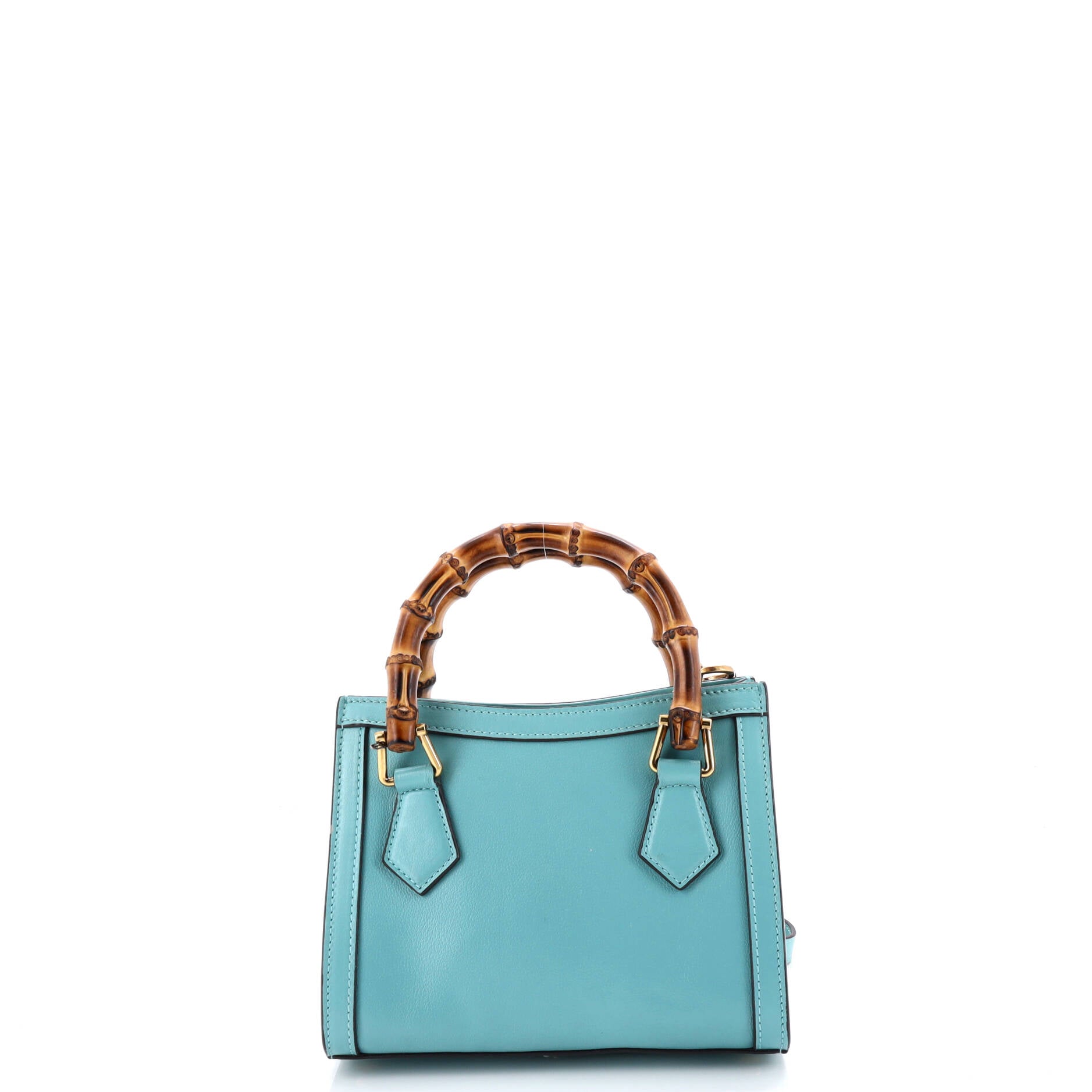 Diana NM Bamboo Handle Tote Leather Mini