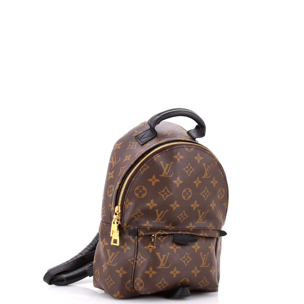 Palm Springs Backpack Monogram Canvas PM