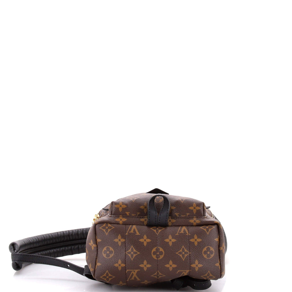 Palm Springs Backpack Monogram Canvas PM