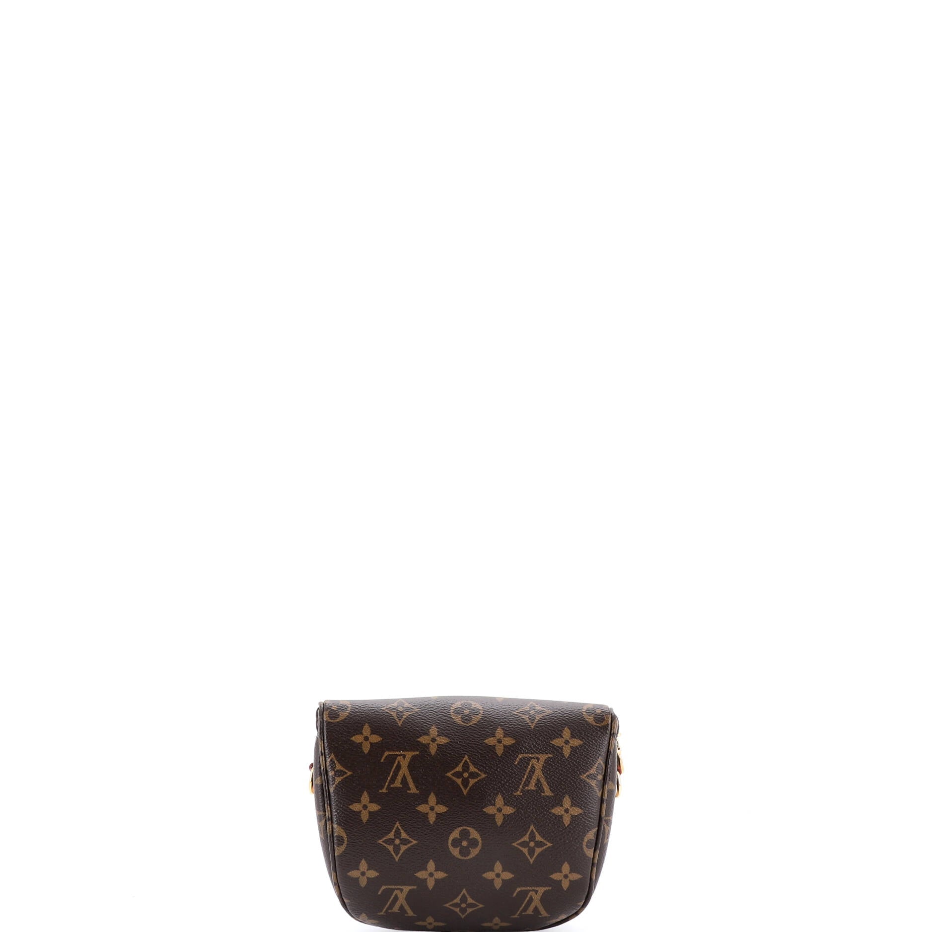 Bum Bag Monogram Canvas Mini