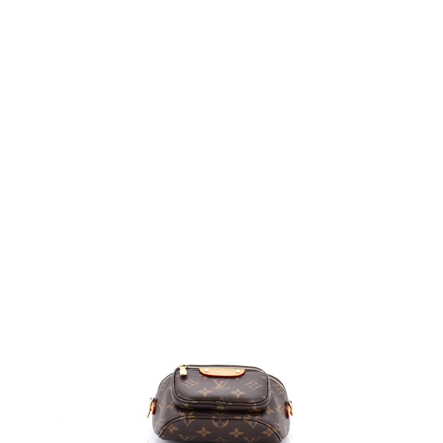 Bum Bag Monogram Canvas Mini