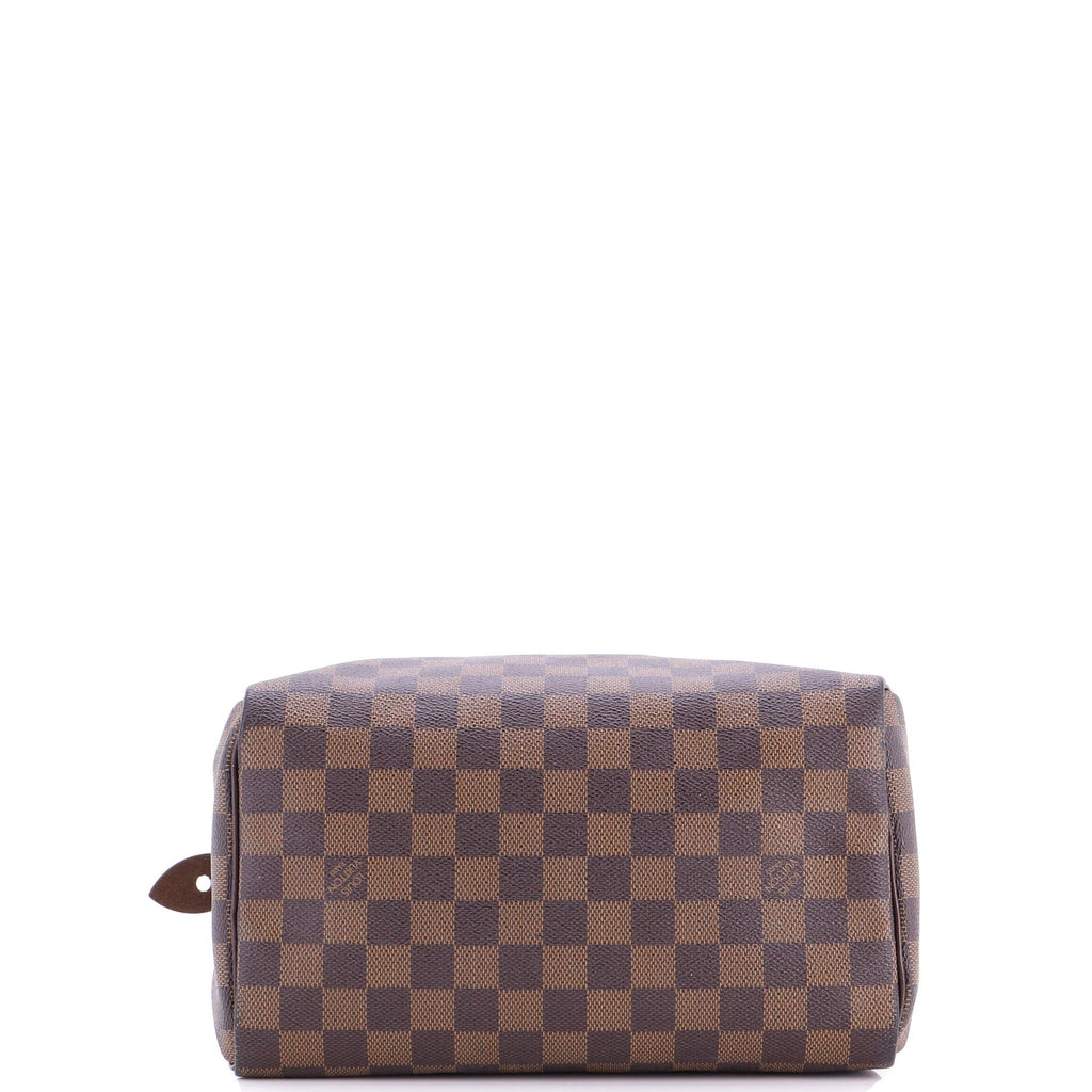 Speedy Handbag Damier 25