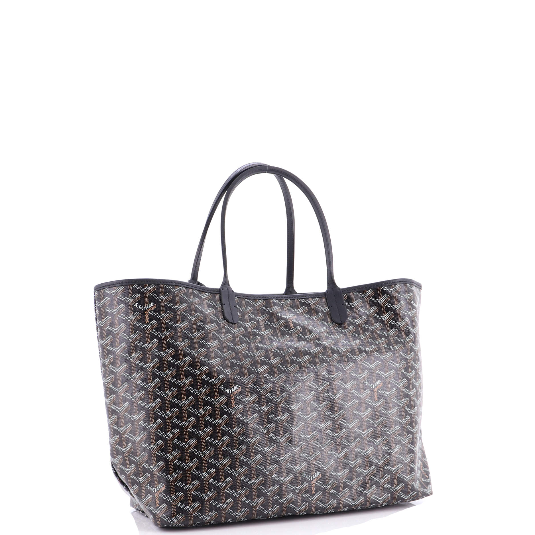 Saint Louis Tote Coated Canvas PM