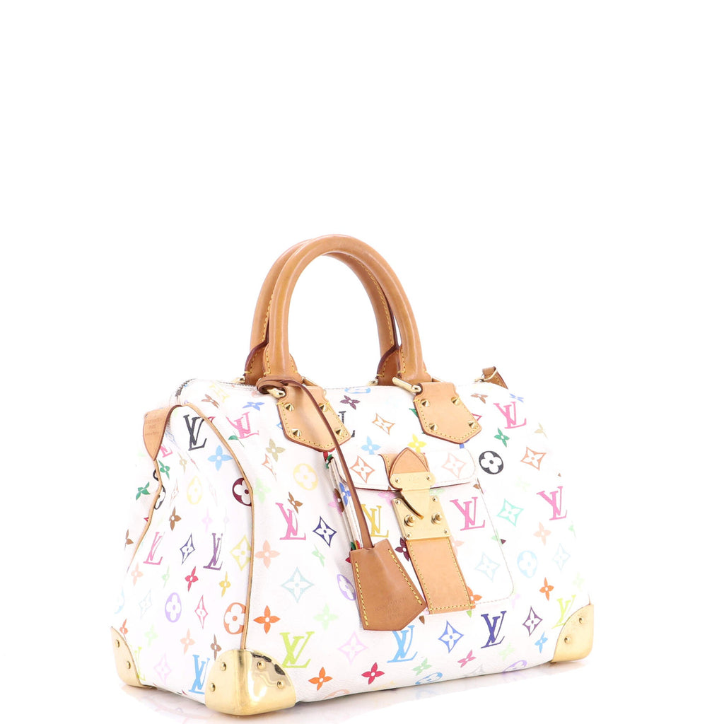 Speedy Handbag Monogram Multicolor 30