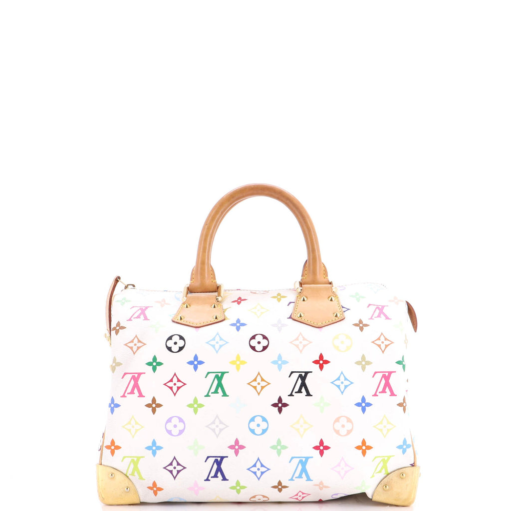 Speedy Handbag Monogram Multicolor 30