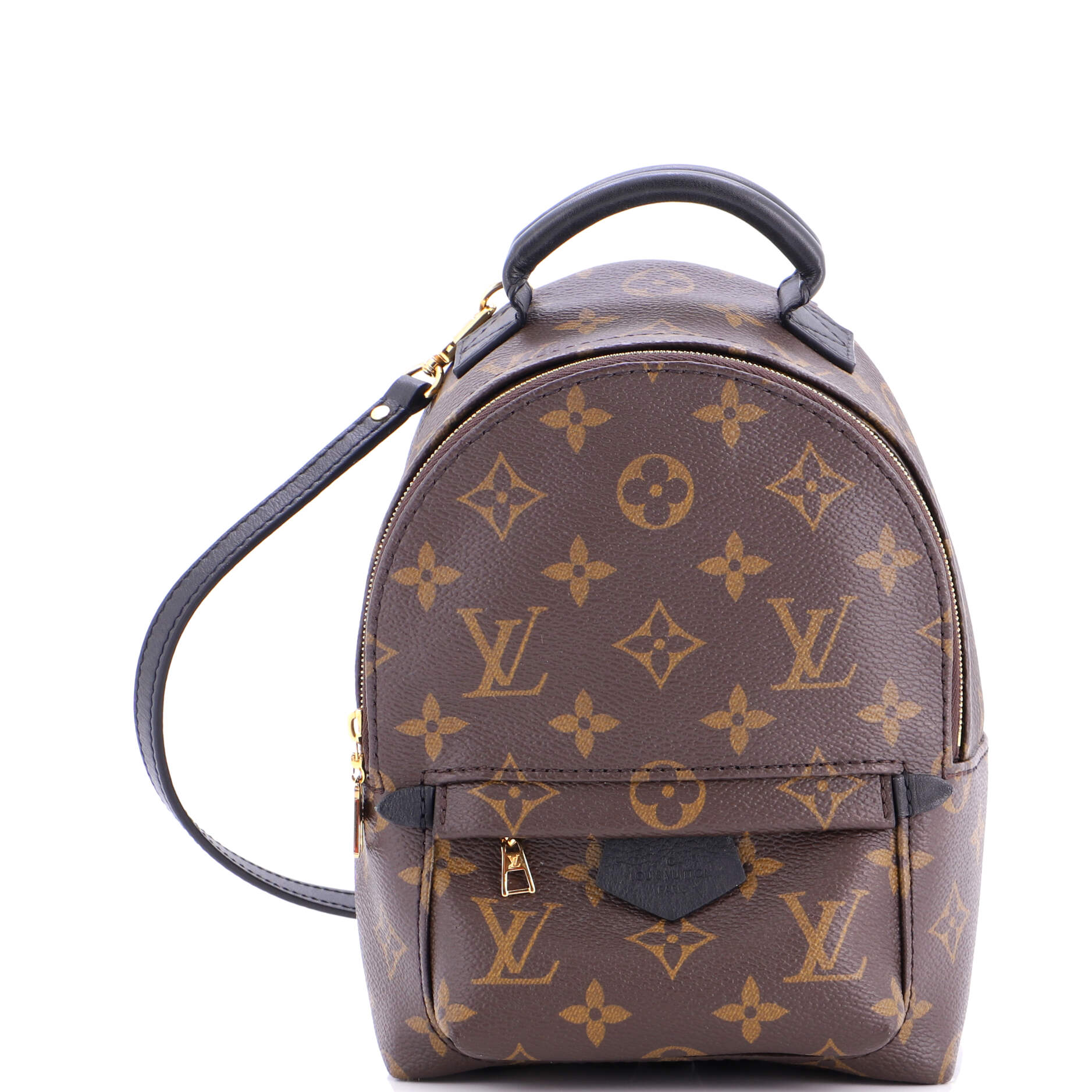 Palm Springs Backpack Monogram Canvas Mini
