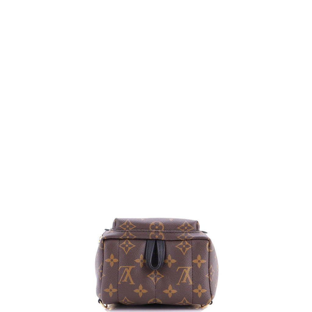 Palm Springs Backpack Monogram Canvas Mini