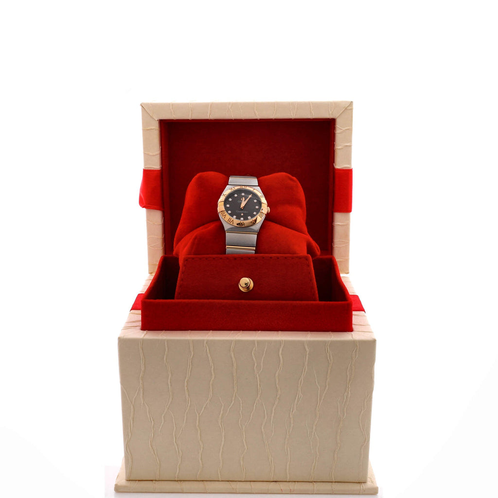 Constellation Quartz Watch Stainless Steel and Rose Gold with Diamond Markers 25
