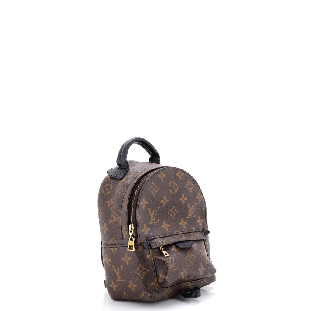 Palm Springs Backpack Monogram Canvas Mini