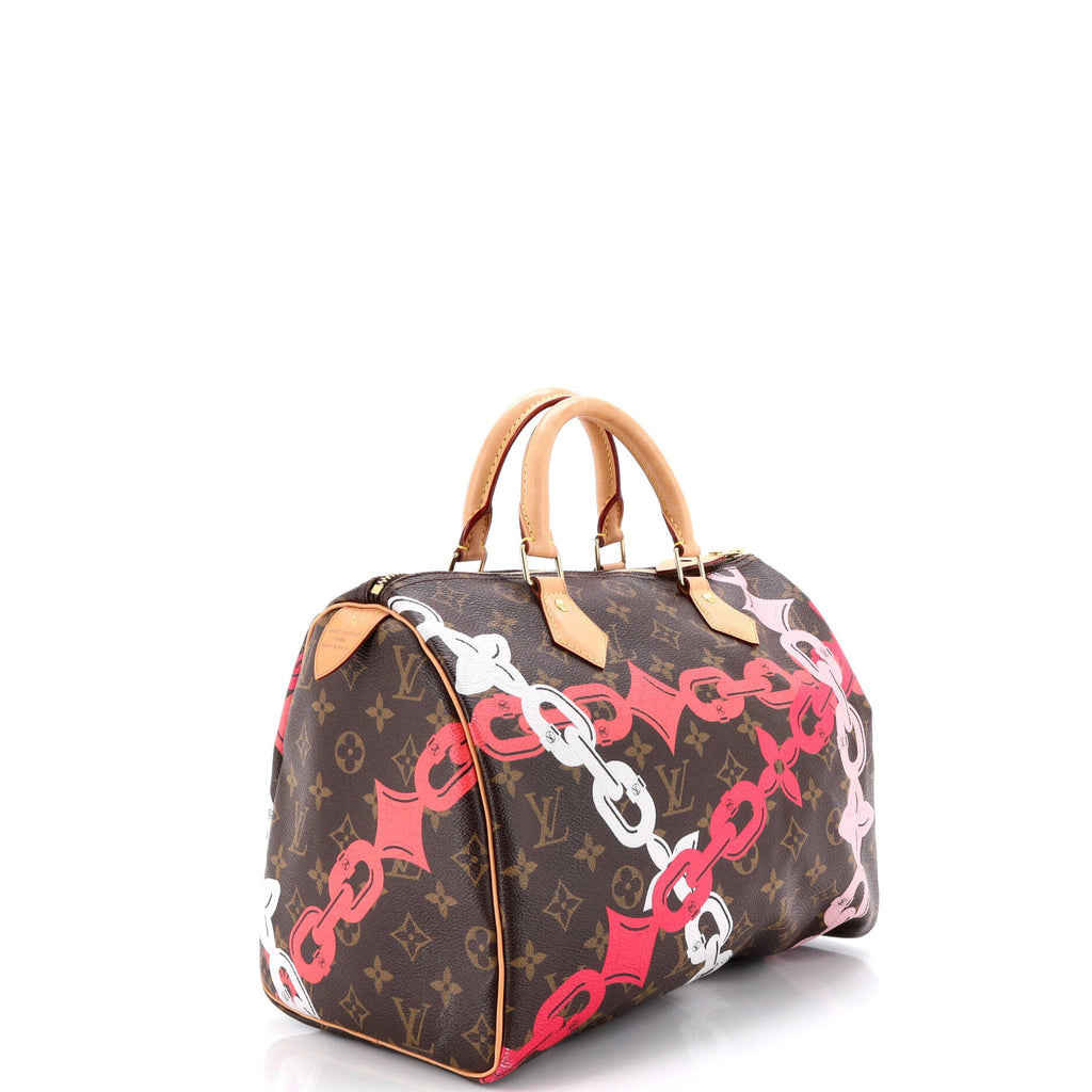 Speedy Handbag Limited Edition Bay Monogram Canvas 30