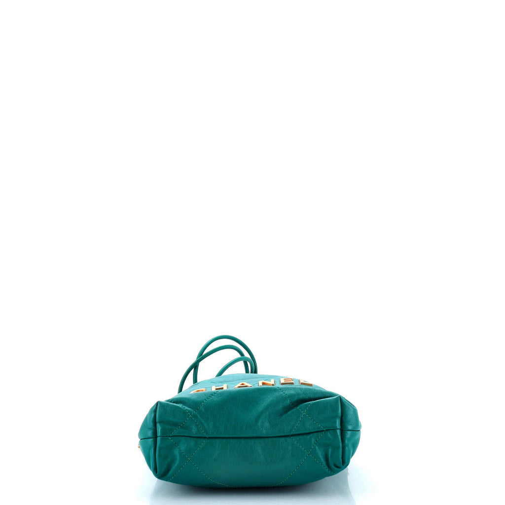 22 Chain Hobo Quilted Calfskin Mini