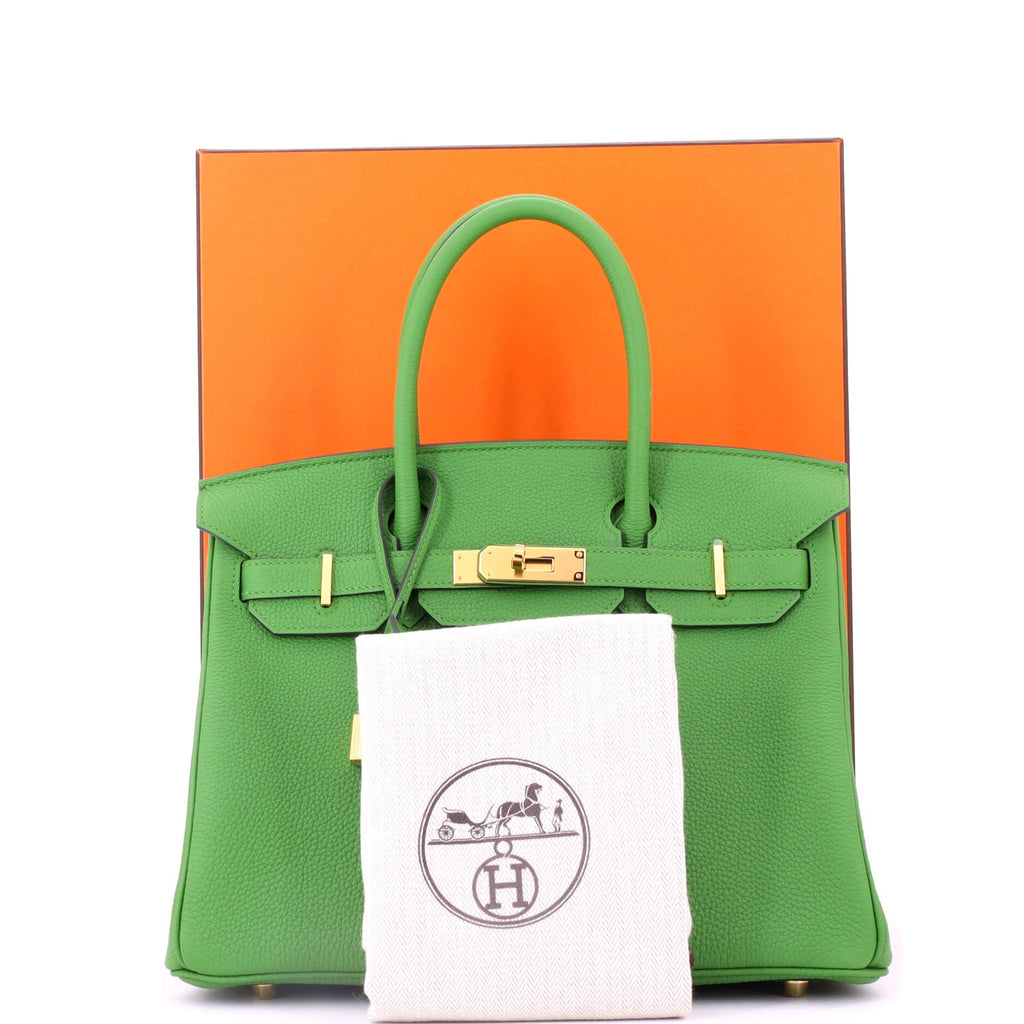 Birkin Handbag Vert Yucca Togo with Gold Hardware 30