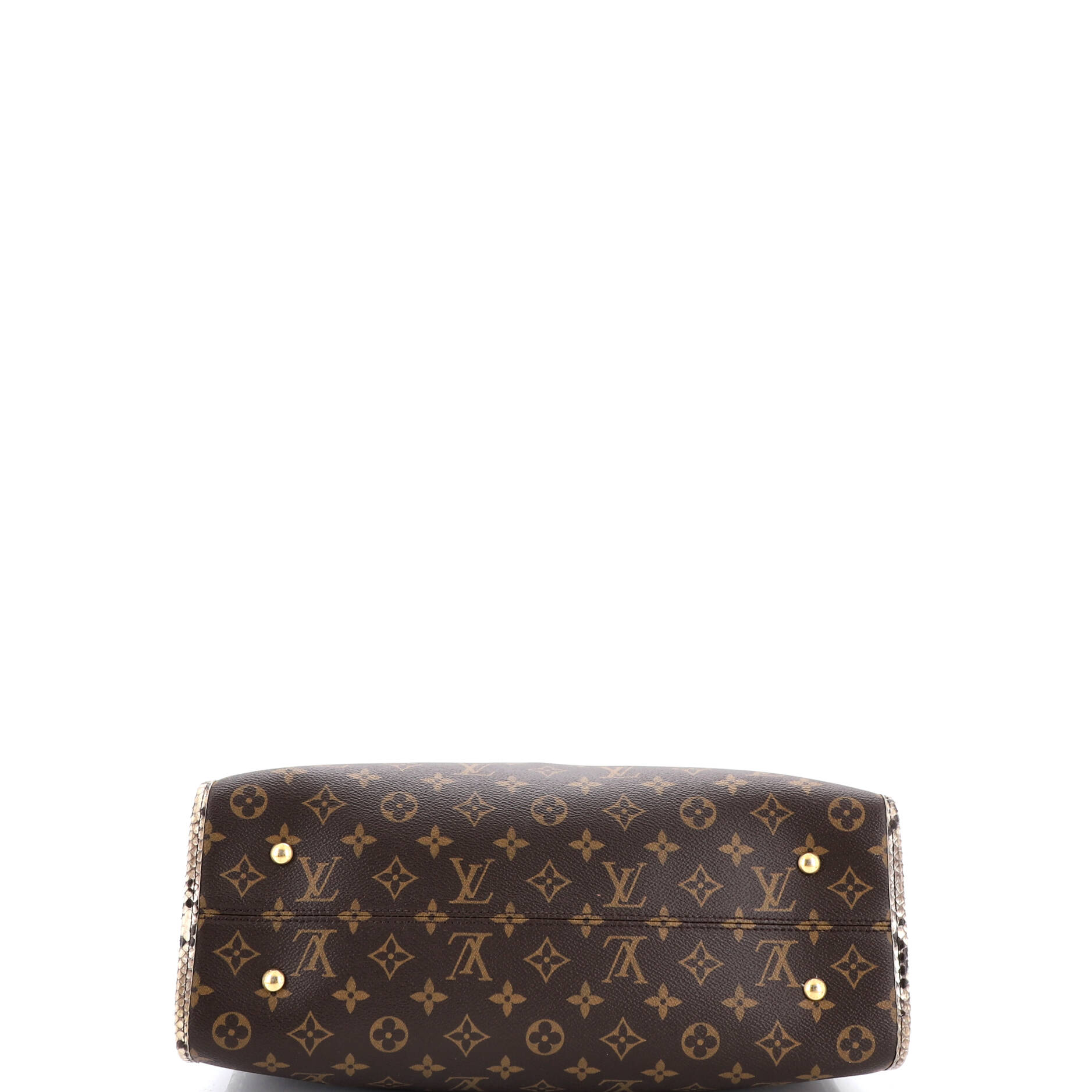 Popincourt NM Handbag Monogram Canvas with Python MM
