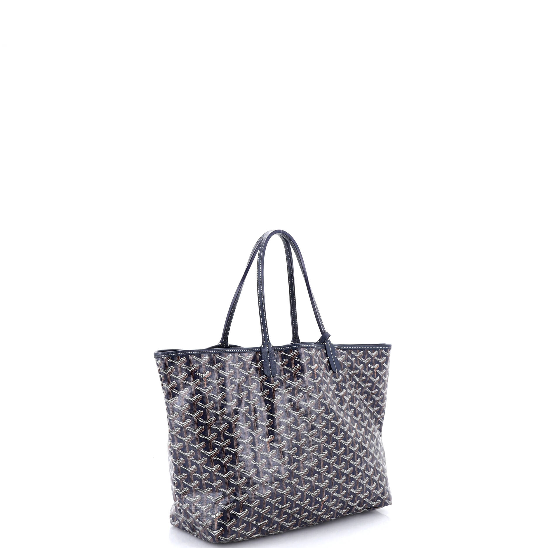 Saint Louis Tote Coated Canvas PM