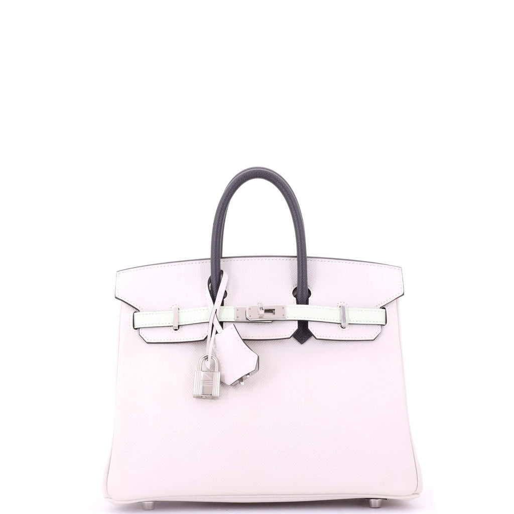 Birkin Handbag Tricolor Epsom with Palladium Hardware 25