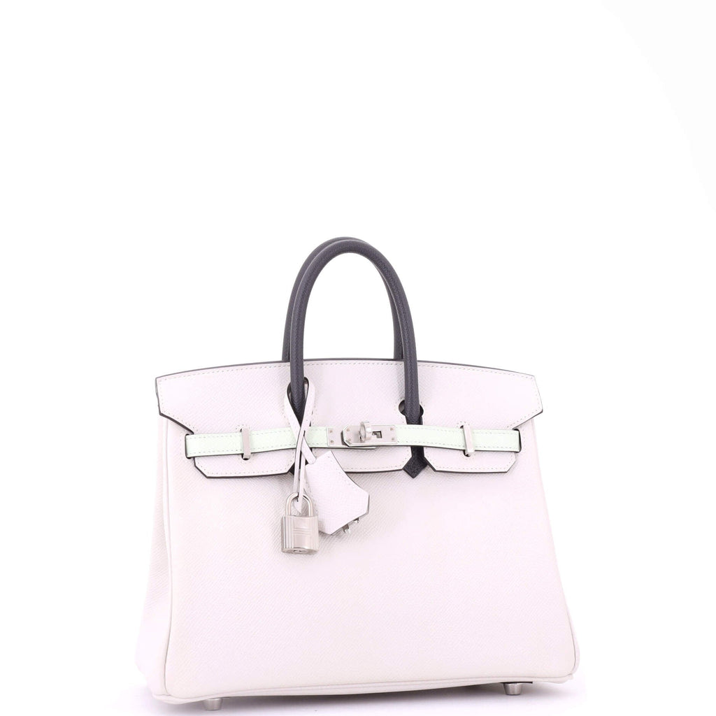Birkin Handbag Tricolor Epsom with Palladium Hardware 25