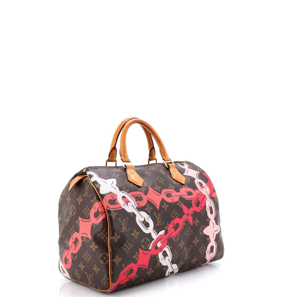Speedy Handbag Limited Edition Bay Monogram Canvas 30